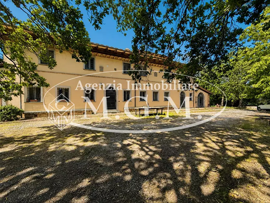 Immagine 31 di Porzione di casa in affitto  a Fauglia