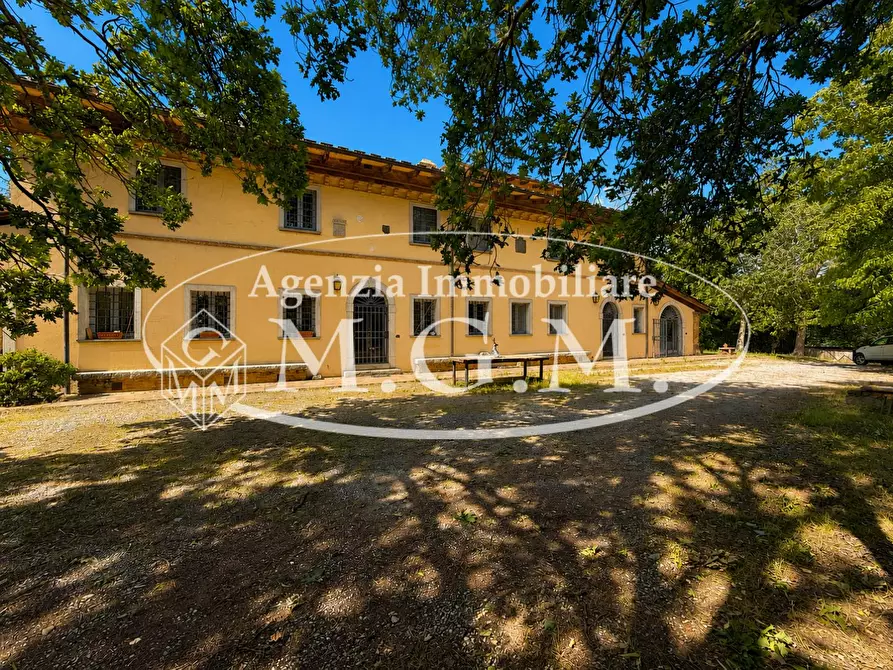Immagine 5 di Porzione di casa in affitto  a Fauglia