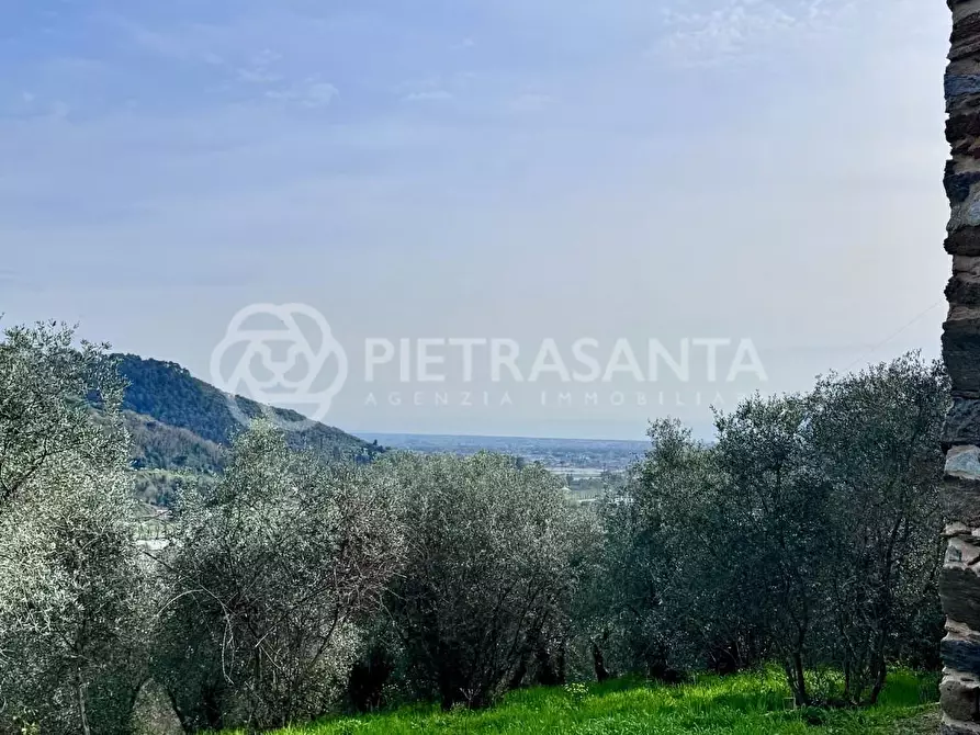 Immagine 2 di Rustico / casale in vendita  a Camaiore