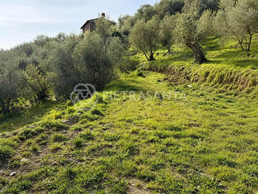Immagine 3 di Rustico / casale in vendita  a Camaiore