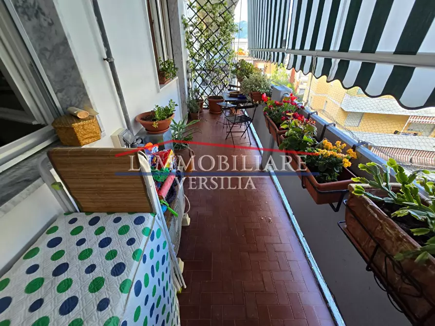 Immagine 8 di Appartamento in vendita  a Carrara