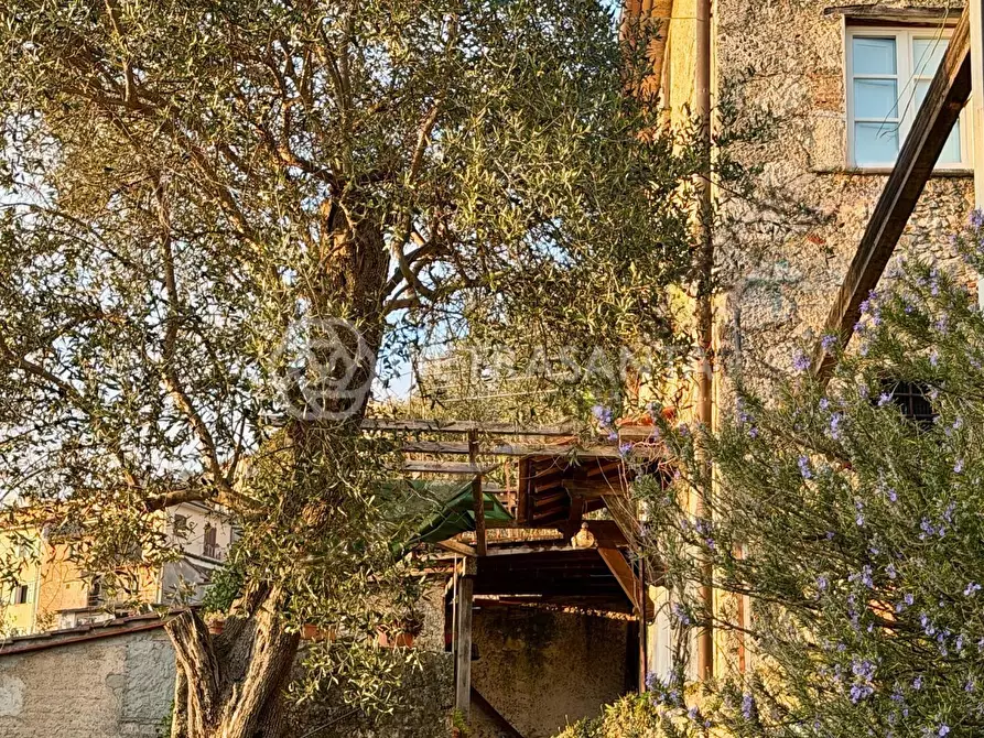 Immagine 5 di Casa semindipendente in vendita  a Pietrasanta