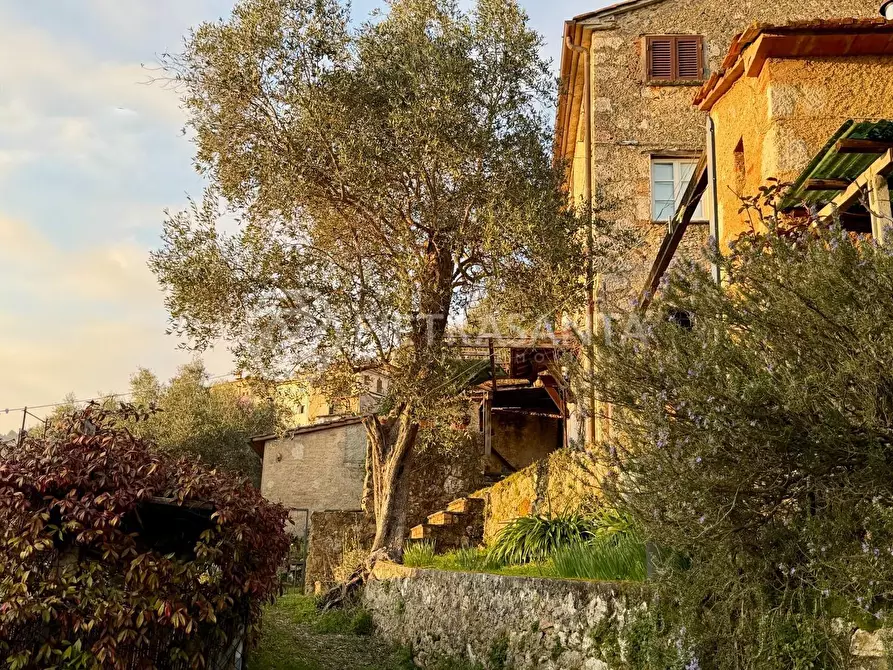 Immagine 1 di Casa semindipendente in vendita  a Pietrasanta