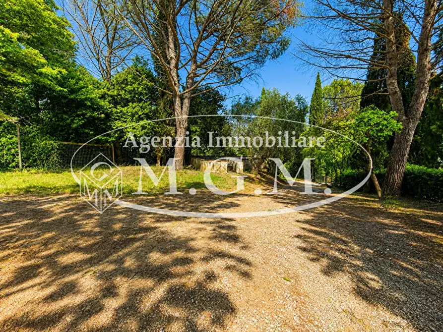 Immagine 37 di Porzione di casa in affitto  a Fauglia