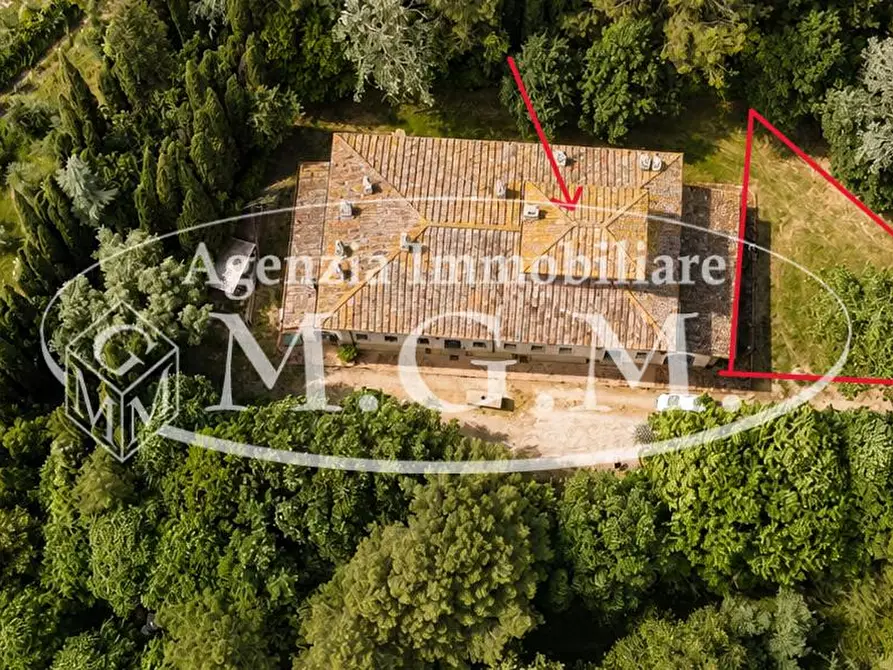Immagine 4 di Porzione di casa in affitto  a Fauglia