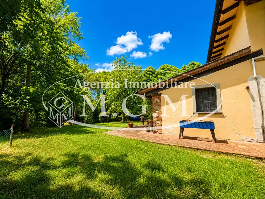 Immagine 7 di Porzione di casa in affitto  a Fauglia