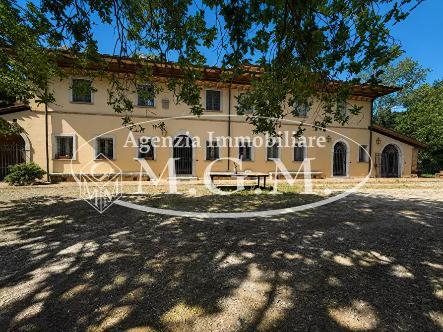 Immagine 38 di Porzione di casa in affitto  a Fauglia