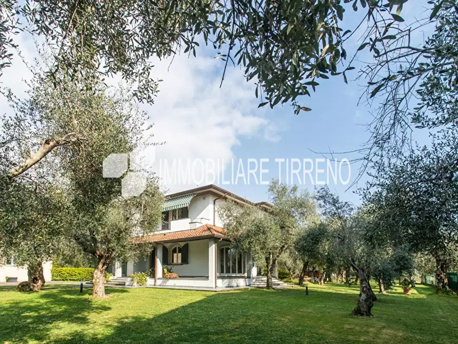 Immagine 4 di Villa in vendita  a Massa