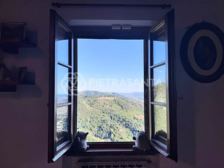 Immagine 25 di Casa colonica in vendita  a Pietrasanta