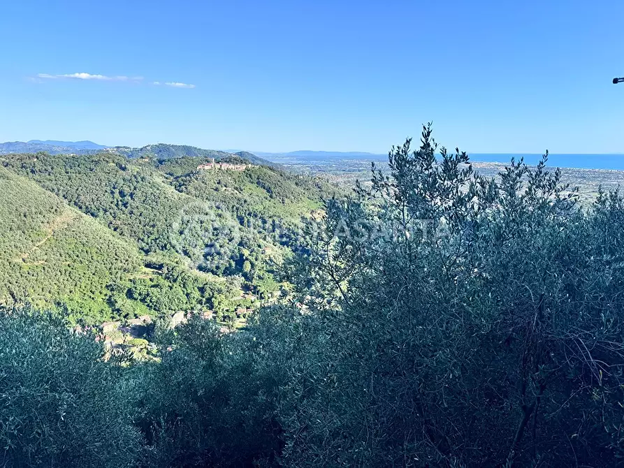 Immagine 2 di Casa colonica in vendita  a Pietrasanta