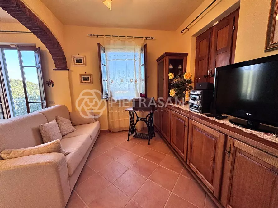 Immagine 18 di Casa colonica in vendita  a Pietrasanta