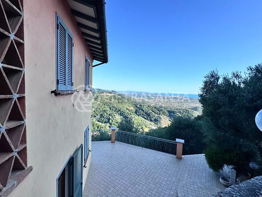 Immagine 4 di Casa colonica in vendita  a Pietrasanta