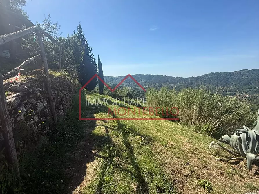 Immagine 8 di Rustico / casale in vendita  a Camaiore