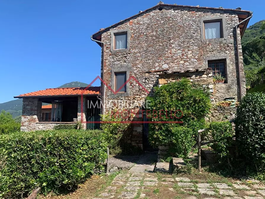 Immagine 15 di Rustico / casale in vendita  a Camaiore