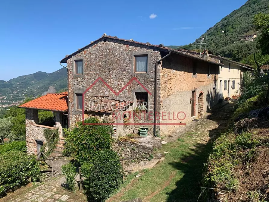 Immagine 16 di Rustico / casale in vendita  a Camaiore