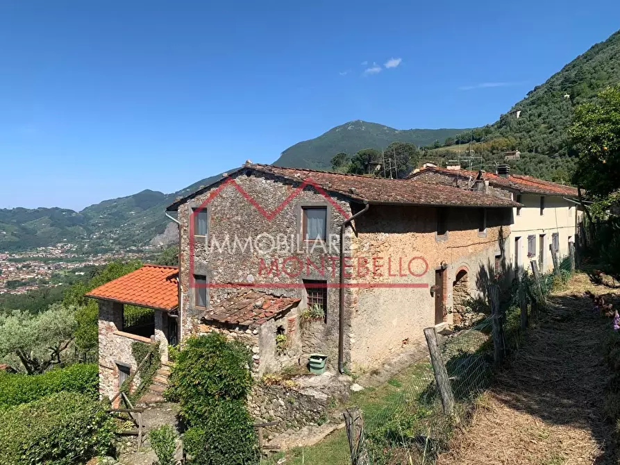 Immagine 17 di Rustico / casale in vendita  a Camaiore