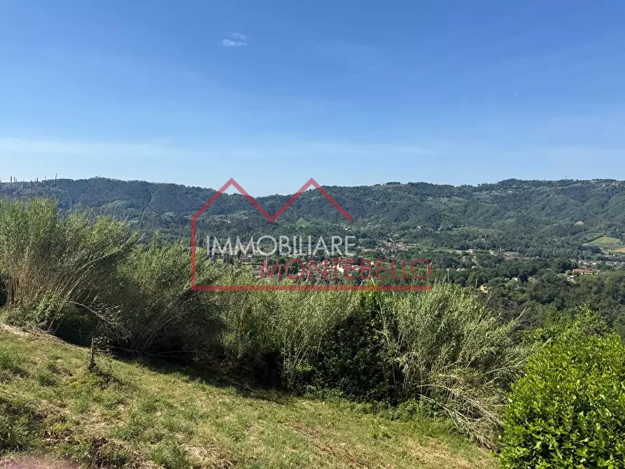 Immagine 6 di Rustico / casale in vendita  a Camaiore
