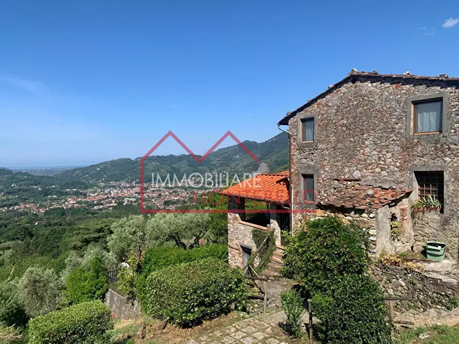 Immagine 1 di Rustico / casale in vendita  a Camaiore
