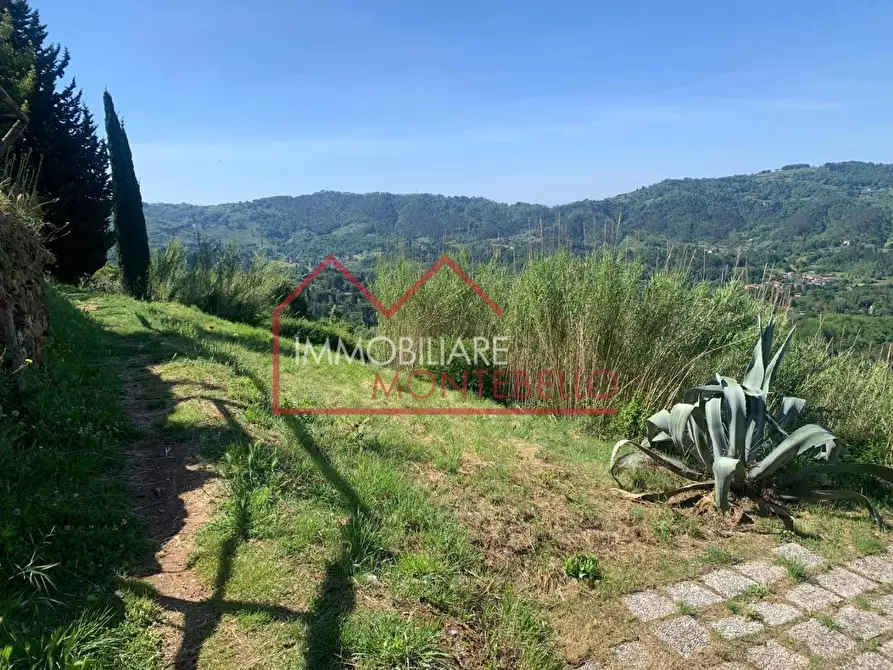Immagine 18 di Rustico / casale in vendita  a Camaiore