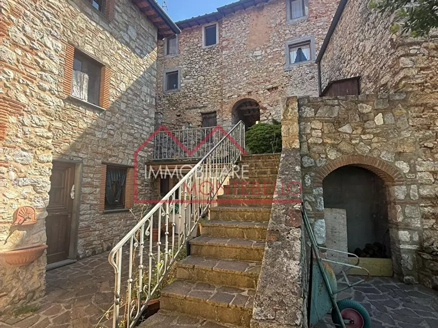 Immagine 11 di Rustico / casale in vendita  a Camaiore