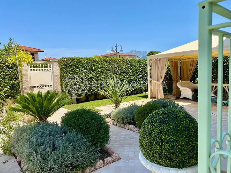Immagine 5 di Villa in vendita  a Pietrasanta