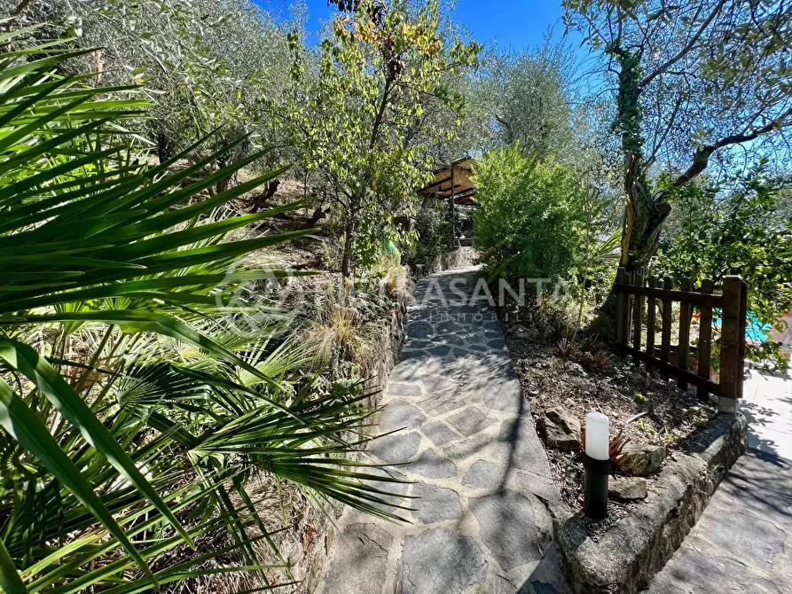 Immagine 5 di Rustico / casale in vendita  a Camaiore