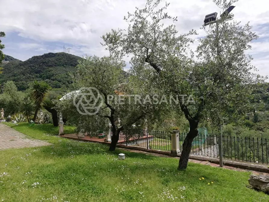 Immagine 11 di Villa in vendita  a Pietrasanta