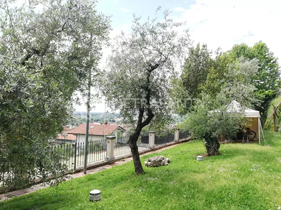 Immagine 13 di Villa in vendita  a Pietrasanta