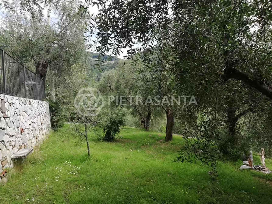 Immagine 10 di Villa in vendita  a Pietrasanta
