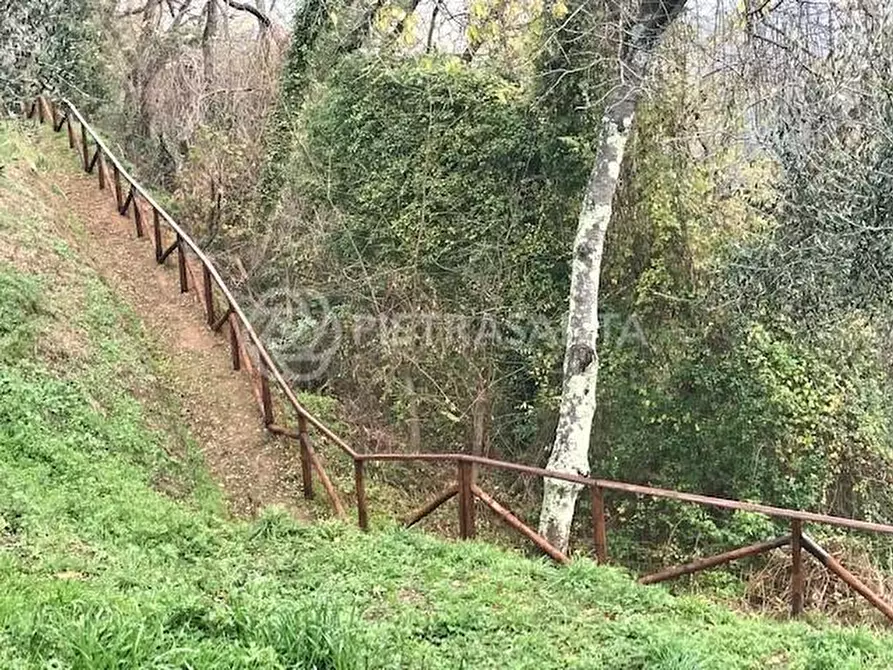 Immagine 7 di Casa colonica in vendita  a Massarosa