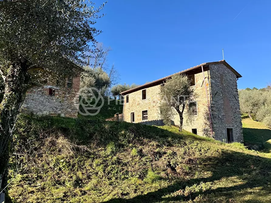 Immagine 10 di Casa colonica in vendita  a Massarosa