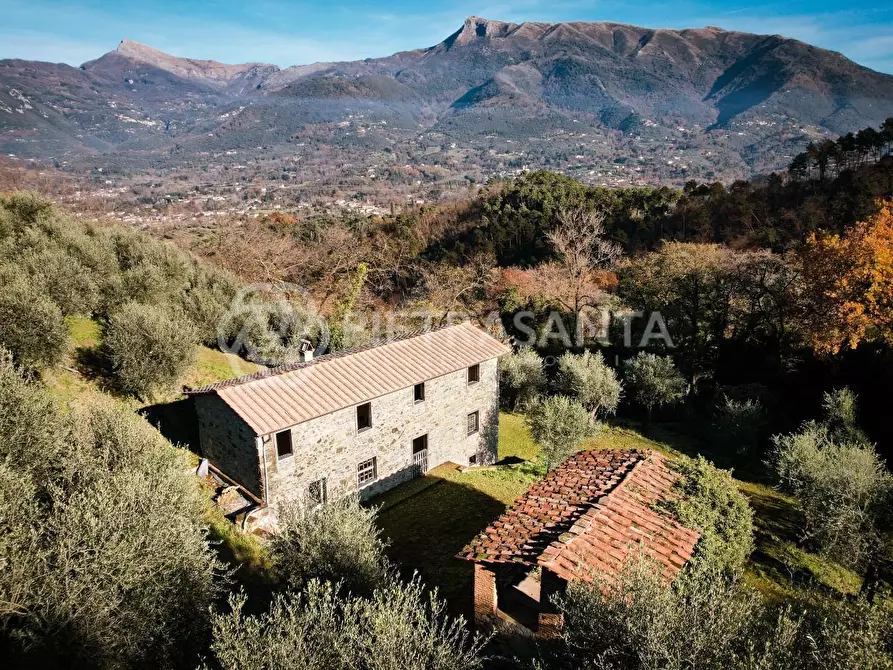 Immagine 3 di Casa colonica in vendita  a Massarosa