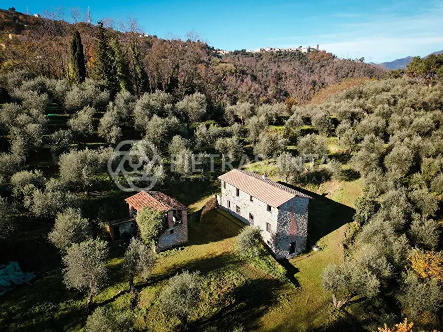 Immagine 2 di Casa colonica in vendita  a Massarosa