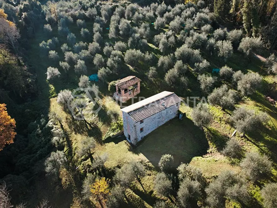 Immagine 5 di Casa colonica in vendita  a Massarosa