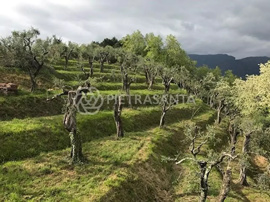 Immagine 6 di Casa colonica in vendita  a Massarosa