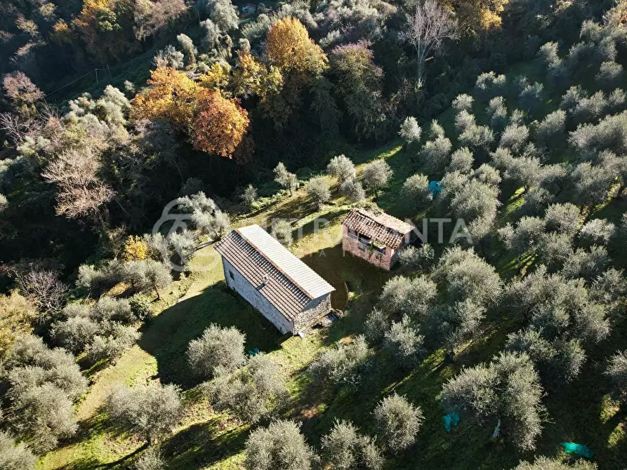 Immagine 4 di Casa colonica in vendita  a Massarosa