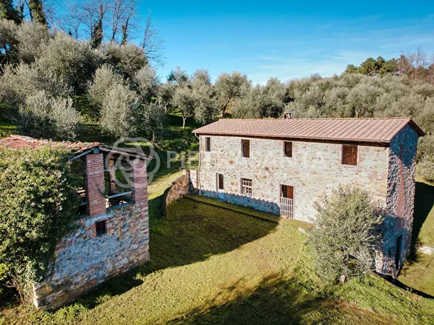 Immagine 1 di Casa colonica in vendita  a Massarosa