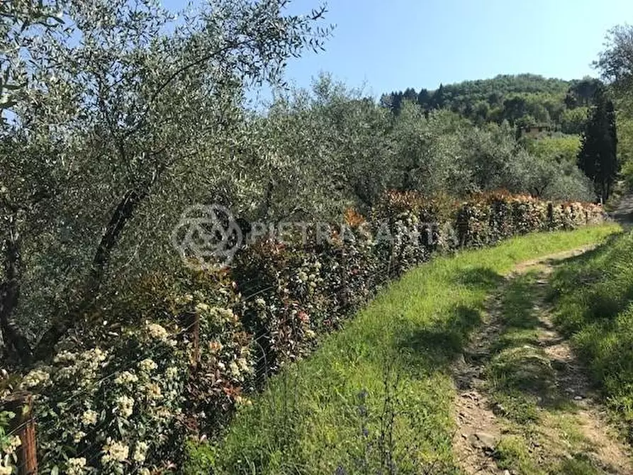 Immagine 8 di Casa colonica in vendita  a Massarosa