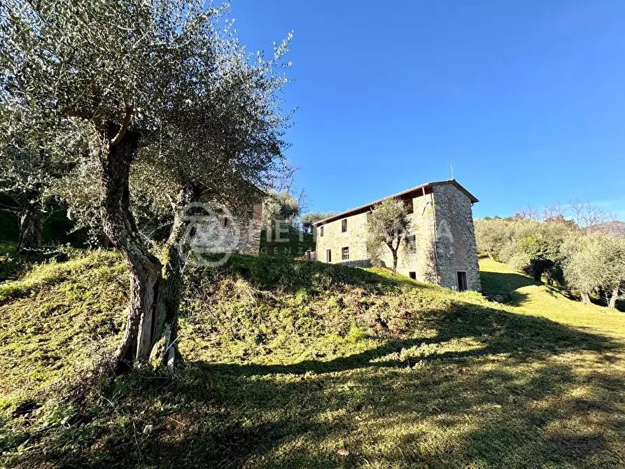 Immagine 9 di Casa colonica in vendita  a Massarosa