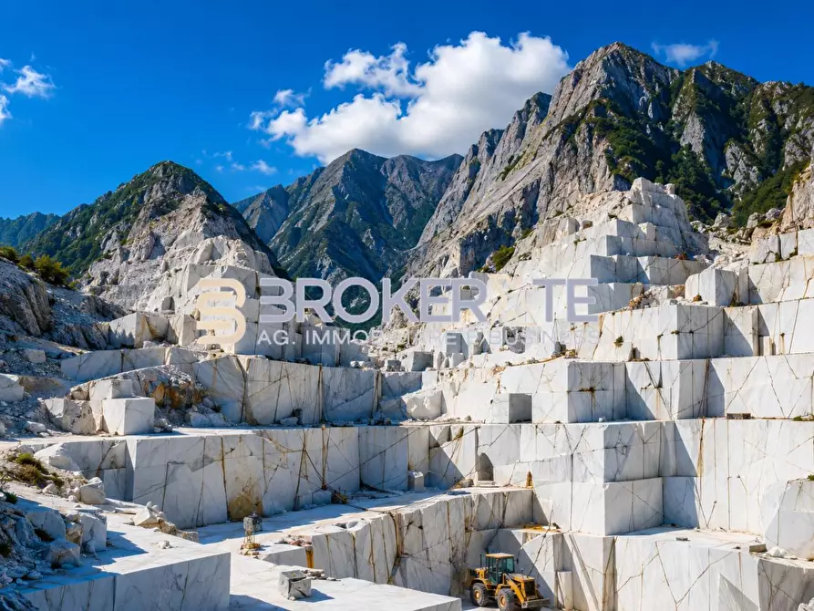 Immagine 15 di Bar / Ristorante in vendita  a Carrara