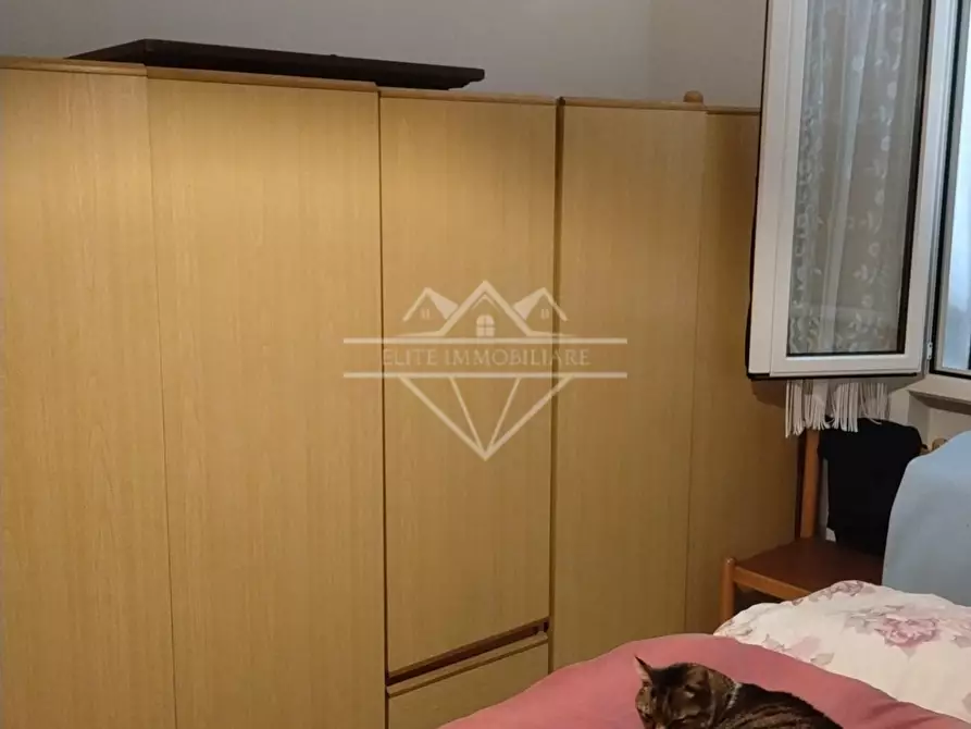 Immagine 11 di Appartamento in vendita  a Sarzana