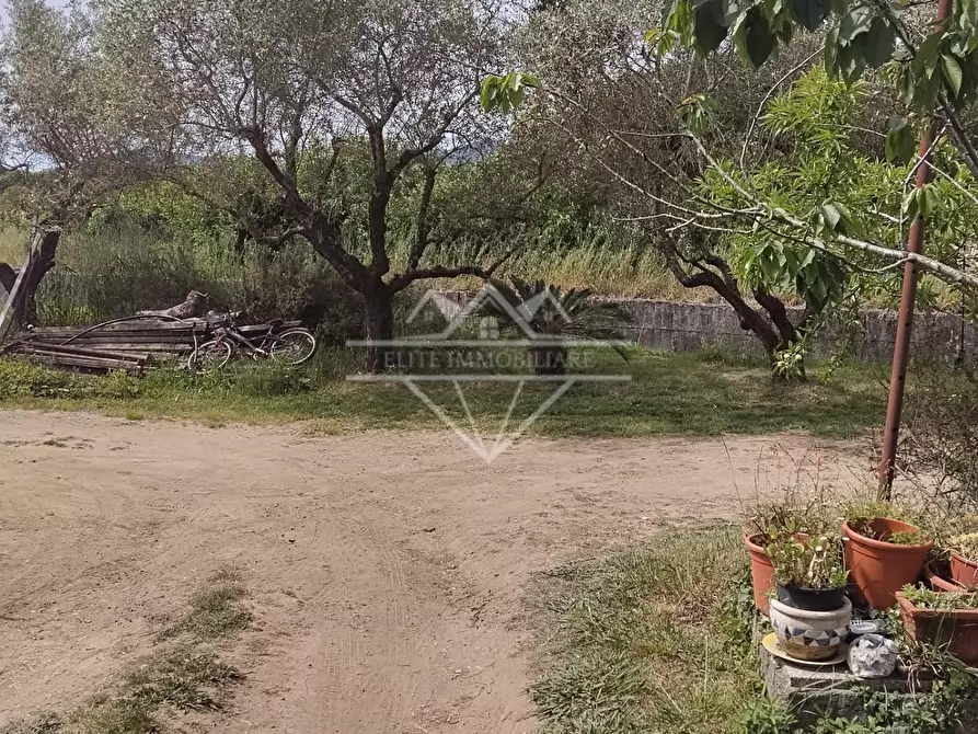 Immagine 14 di Appartamento in vendita  a Sarzana
