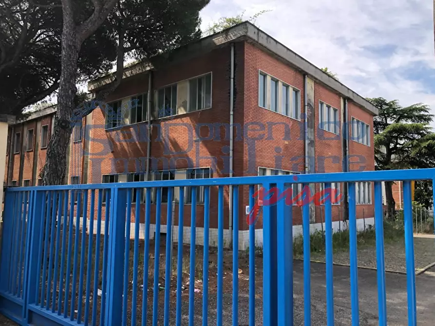 Immagine 3 di Ufficio in vendita  a Massa