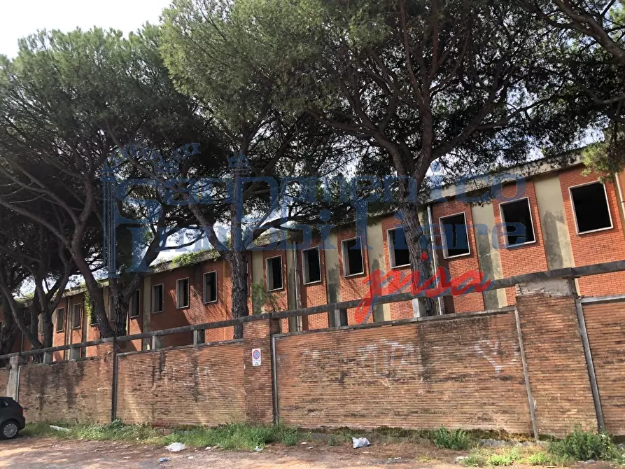 Immagine 4 di Ufficio in vendita  a Massa