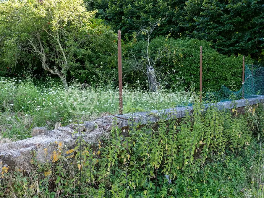 Immagine 35 di Villa in vendita  a Camaiore