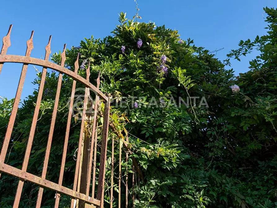 Immagine 38 di Villa in vendita  a Camaiore