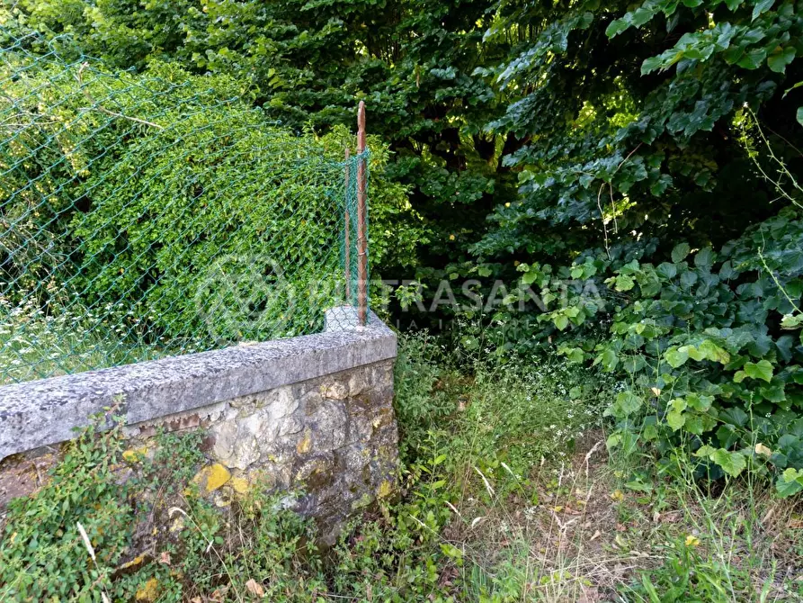 Immagine 40 di Villa in vendita  a Camaiore