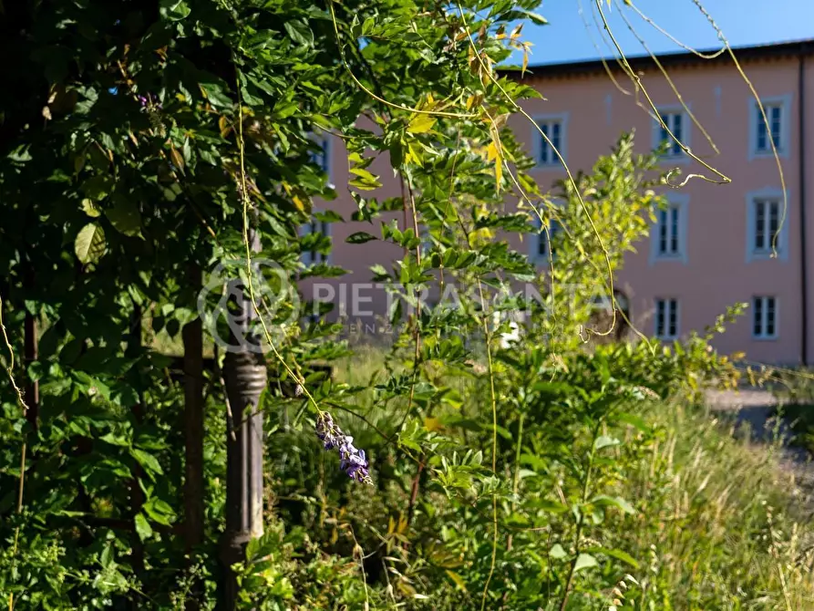 Immagine 37 di Villa in vendita  a Camaiore