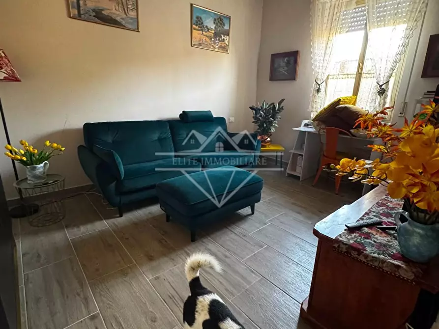 Immagine 10 di Casa indipendente in vendita  a Carrara