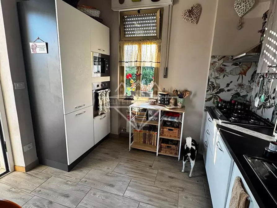 Immagine 3 di Casa indipendente in vendita  a Carrara